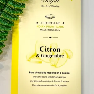Chocolat Dolfin Citron & Gingembre – Saveur Fraîche et Épicée