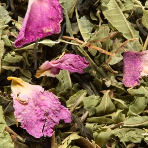 Pêche Verveine