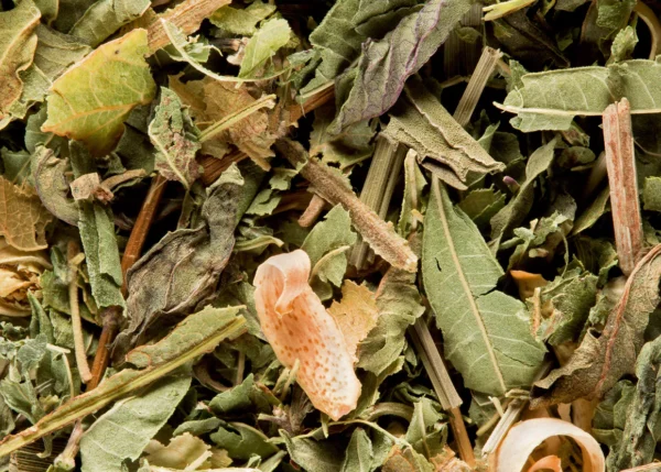 Tisane du Berger